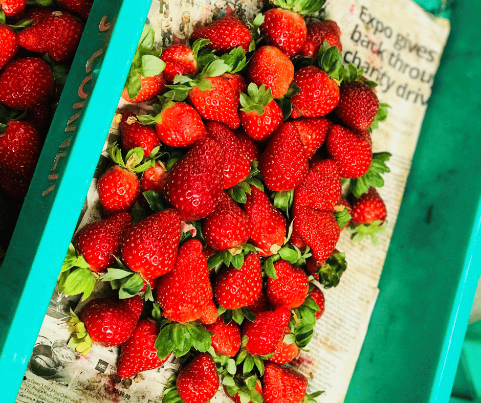 Strawberry Farmnder Gardens